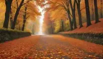 Fall Ambience Wallpaper