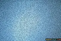 Frosted Glass Overlay Photo Effect
