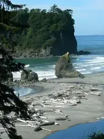 Ruby Beach Olympic National Park phone wallpaper