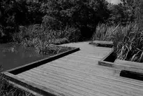Elevated Wooden Path River Walkway wallpaper