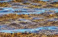 Lake Water Stones Wave Clear Water wallpaper