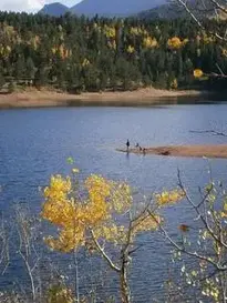 Fishing Lake Trees Forest Human phone wallpaper