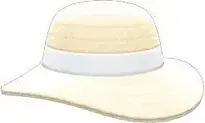 Add Straw Hat to your photo