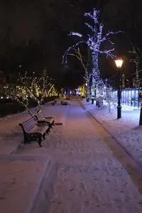 The Park Winter Benches Cold phone wallpaper