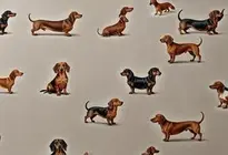 Dachshund Wallpaper Fixer Upper