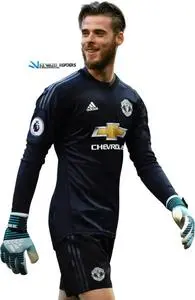 United Cup De David Gea Fc Manchester. Add to your photo