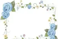 Free Blue Roses Photo Frame Insert Photos
