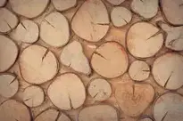 Wood texture overlay effect