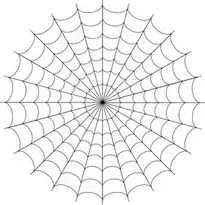 Spider Web Photo Effect