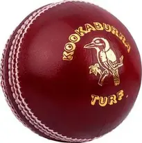 Add Cricket ball to your photo