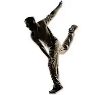 Add Cricket to your photo