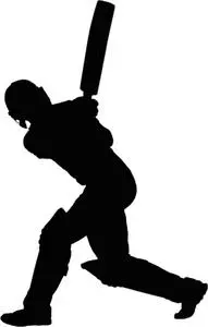 Add Cricket to your photo
