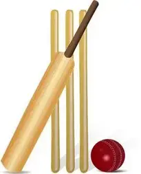Add Cricket to your photo