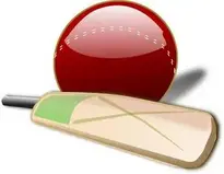 Add Cricket to your photo