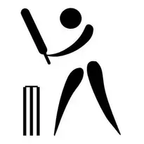 Add Cricket to your photo