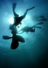 Sea Ocean Water Diving Divers phone wallpaper