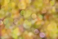 hd wallpaper background bokeh light wallpaper