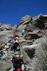 Canary Islands Teide National Park phone wallpaper
