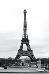 Black and white majestic famous Eiffel Tower against Elysian Fields on summer day phone wallpaper...