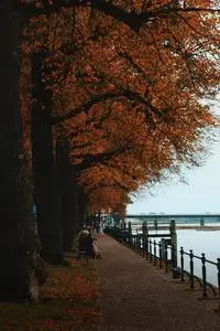People Siting on Bench phone wallpaper background