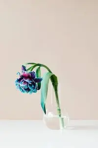 Pink and Blue Flower in Clear Glass Vase phone wallpaper background