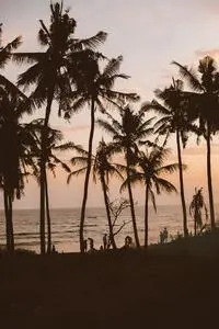 Silhouettes faceless people resting on beach near palms and calm scenic sea during majestic sunset..
