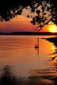 Sunset Fishing Lake Evening Shore phone wallpaper