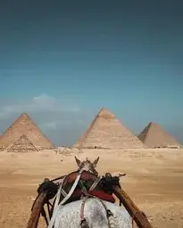 Clear Sky over Pyramids in Giza phone wallpaper background