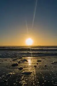 Sunset Sunrise Sun Beach Wave phone wallpaper