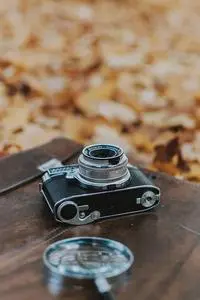 Suitcase Camera Leaves Nature phone wallpaper