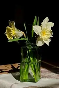 Daffodils Vase Spring Flower phone wallpaper