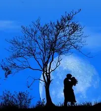 Night Moon Nature Tree Couple phone wallpaper