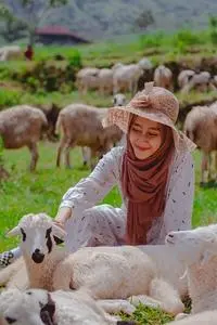 Sheep Hijab Woman Muslim Islam phone wallpaper