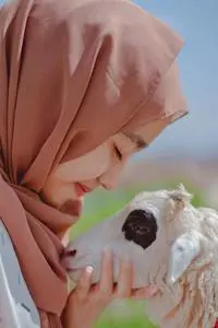 Sheep Hijab Woman Muslim Islam phone wallpaper