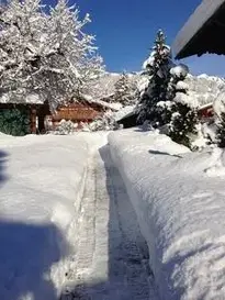Web Snowy Deep Snow Cold Winter phone wallpaper