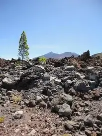 Teide Tenerife Canary Islands phone wallpaper