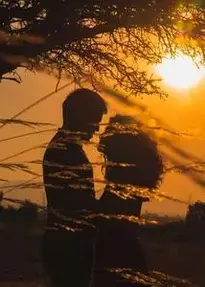 Couple Sunset Love Romantic phone wallpaper