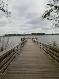 Dock River Water Bridge Landscape phone wallpaper