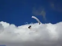 skydiver parachute california wallpaper