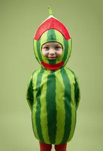 Watermelon Fancy Dress Costume