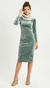 Fashion Portrait Woman In Velvet Dress