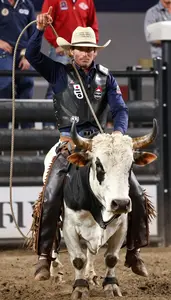Bull Rider In Protective Vest And Chaps Gripping The Rope