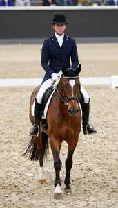 Dressage Rider In Tails And Top Hat Performing A Perfect