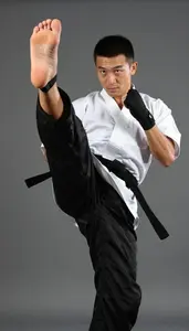 Wushu Sanda Fighter Wearing Hand Wraps Quick Sweeping Flying
