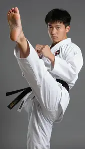 Karate Karateka Wearing Gi Precise Kicking Spin Kick In Side