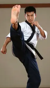 Wushu Sanda Fighter Wearing Uniform Focused Spinning Flying