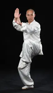 Wushu Tai Chi Practitioner Wearing Silk Shoes Powerful