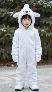 Snow Explorer
