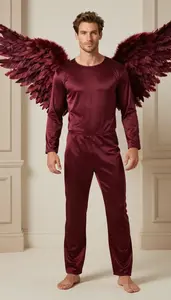 Angel Costume