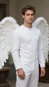 Mens Professional Fallen Angel Costume